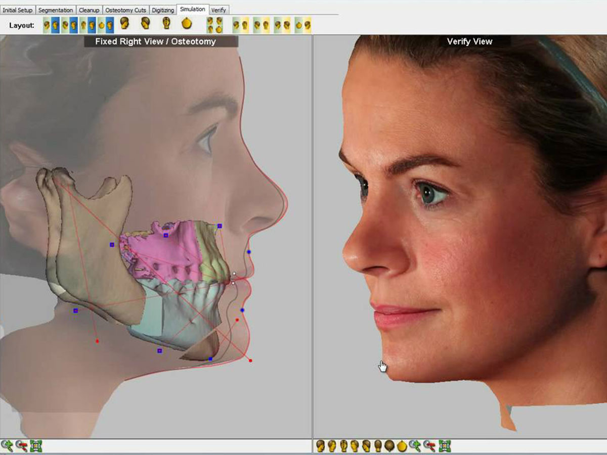 Dolphin 3D